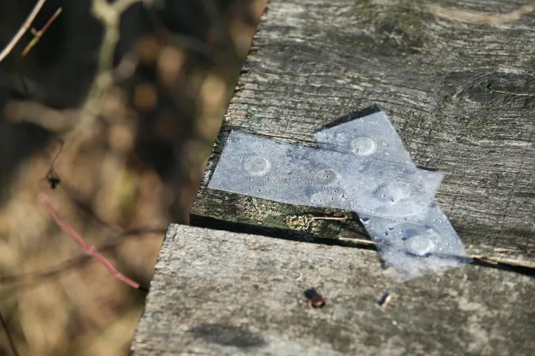 KRVAVI PRIZORI U POLJU: Ovo je mjesto na kojem je 17-godi&scaron;njak nožem masakrirao svog vr&scaron;njaka