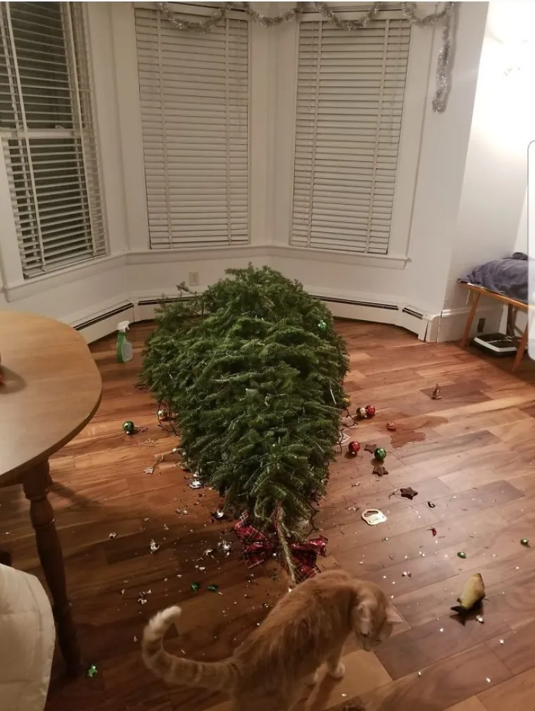 Blagdansko okupljanje obitelji po&scaron;lo nizbrdo? Ne brinite, ovi pojedinci su sigurno imali gori dan od va&scaron;eg