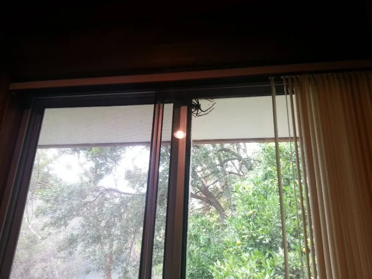 Blagdansko okupljanje obitelji po&scaron;lo nizbrdo? Ne brinite, ovi pojedinci su sigurno imali gori dan od va&scaron;eg