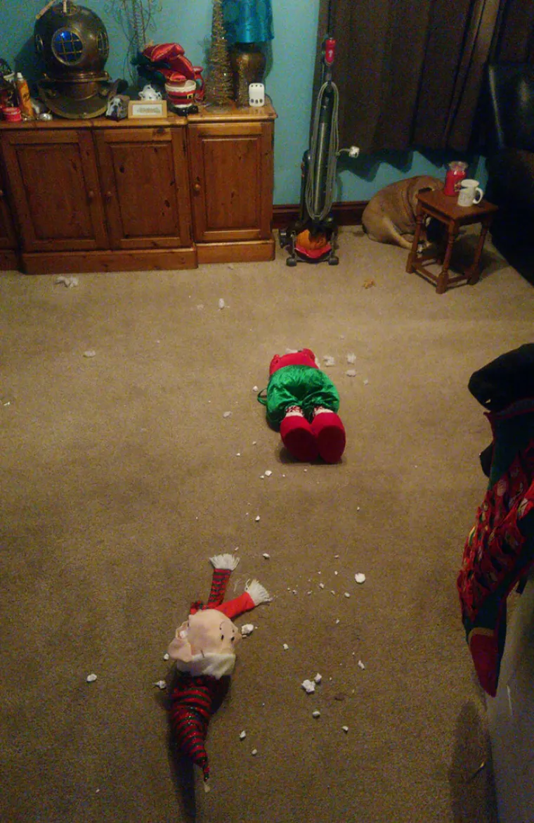 Blagdansko okupljanje obitelji po&scaron;lo nizbrdo? Ne brinite, ovi pojedinci su sigurno imali gori dan od va&scaron;eg