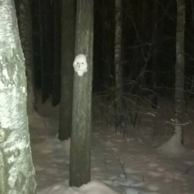 Dok mi kukamo da je hladno iako uporno nosimo stopalice, evo kako se sa zimom bore istočnije od nas