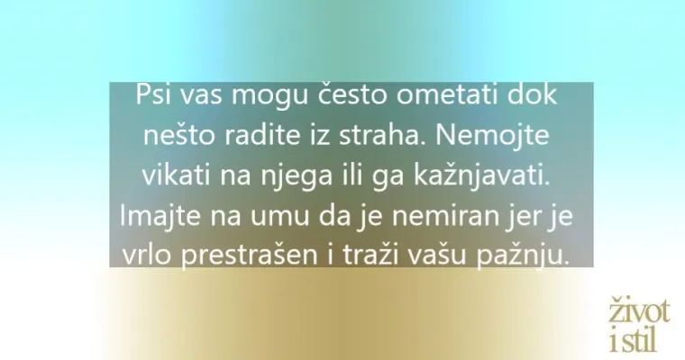 Pucanje petardi bliži se vrhuncu. Smirite svog psa uz ove jednostavne trikove