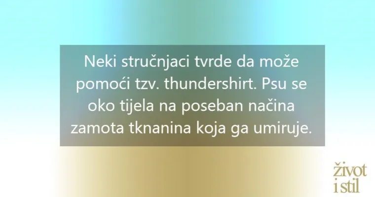 Pucanje petardi bliži se vrhuncu. Smirite svog psa uz ove jednostavne trikove