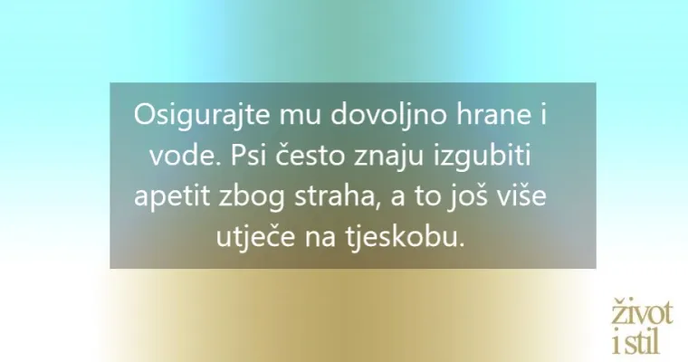 Pucanje petardi bliži se vrhuncu. Smirite svog psa uz ove jednostavne trikove