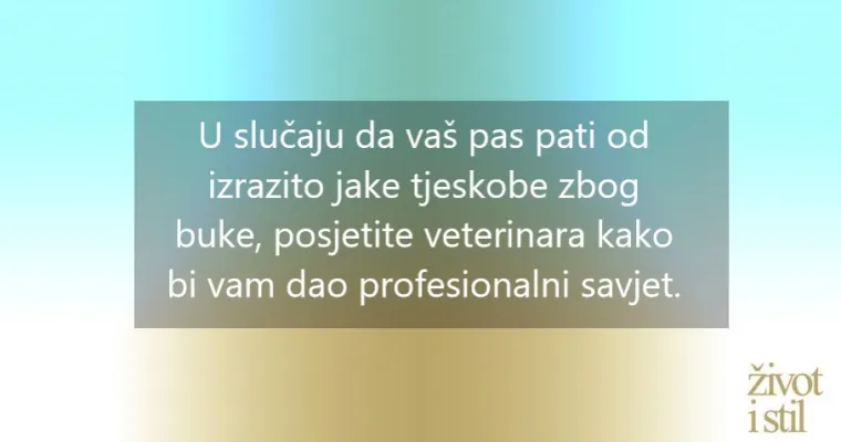 Pucanje petardi bliži se vrhuncu. Smirite svog psa uz ove jednostavne trikove