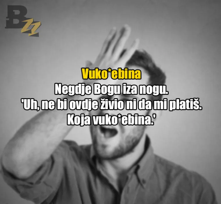 Uhljeb, mućko đu*re, fasovati: 30 fraza koje 'tuđi čovik nikad neće razumit'