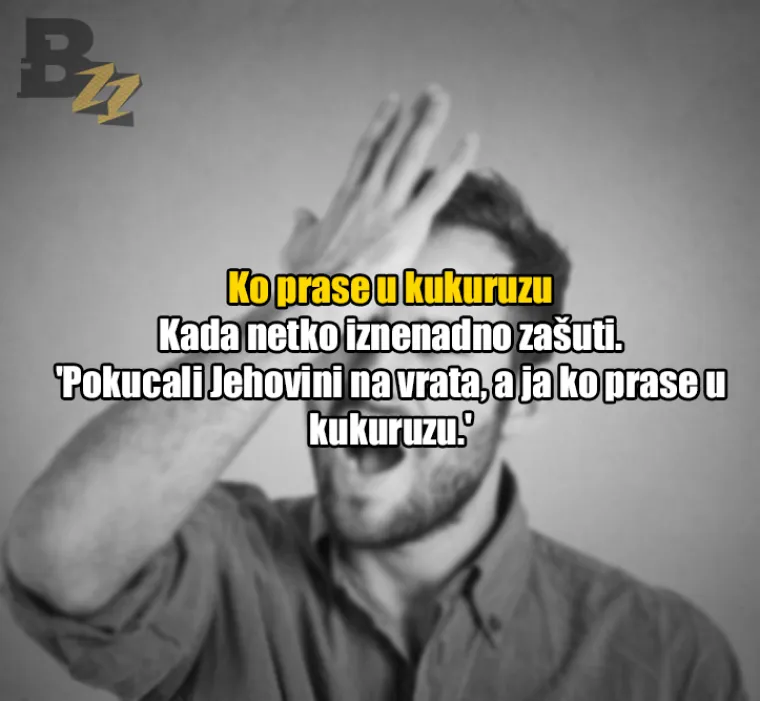 Uhljeb, mućko đu*re, fasovati: 30 fraza koje 'tuđi čovik nikad neće razumit'