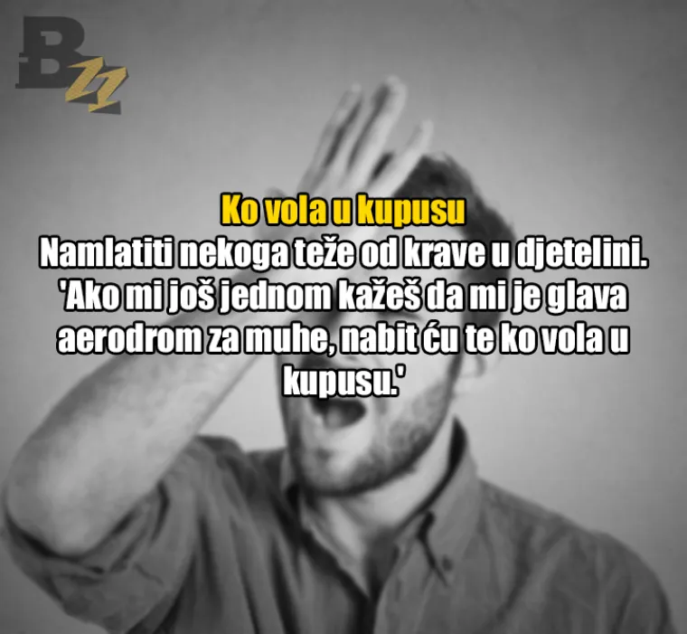 Uhljeb, mućko đu*re, fasovati: 30 fraza koje 'tuđi čovik nikad neće razumit'