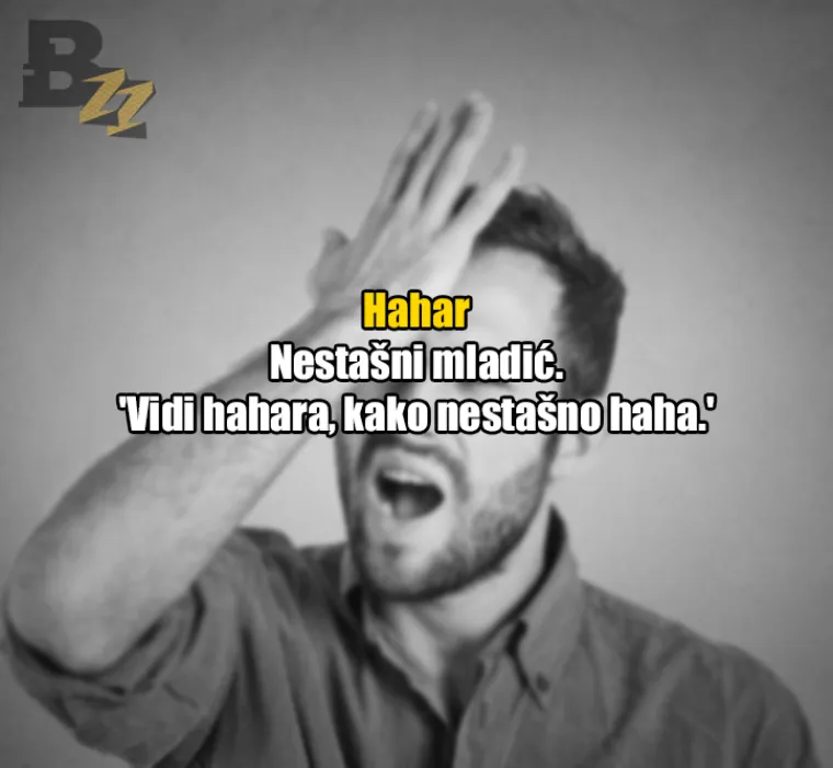 Uhljeb, mućko đu*re, fasovati: 30 fraza koje 'tuđi čovik nikad neće razumit'