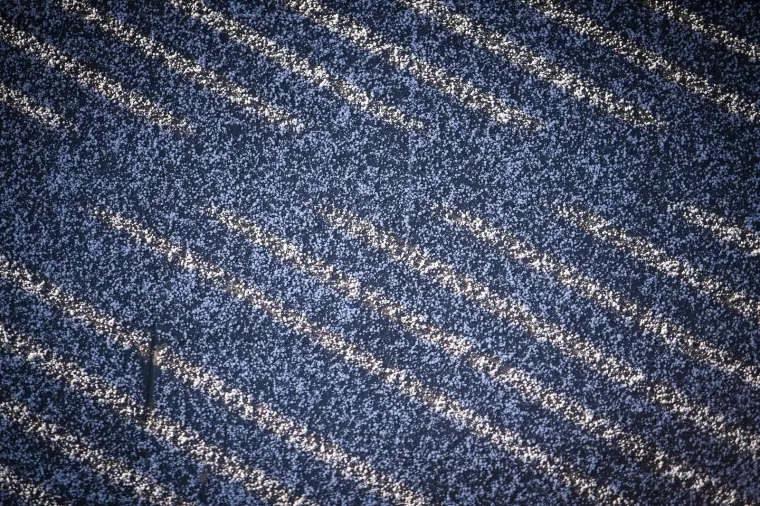 Zrnati snijeg: Zagrepčane jutros iznenadila neobična pojava