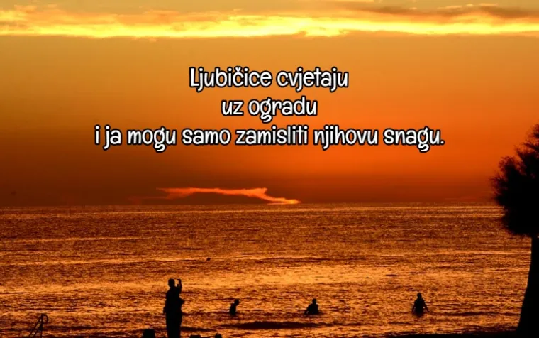20 'pjesama smrti' koje su japanske kamikaze morale napisati prije nego &scaron;to bi poletjeli zadnji put