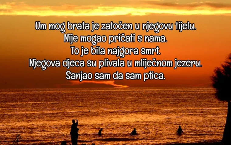 20 'pjesama smrti' koje su japanske kamikaze morale napisati prije nego &scaron;to bi poletjeli zadnji put