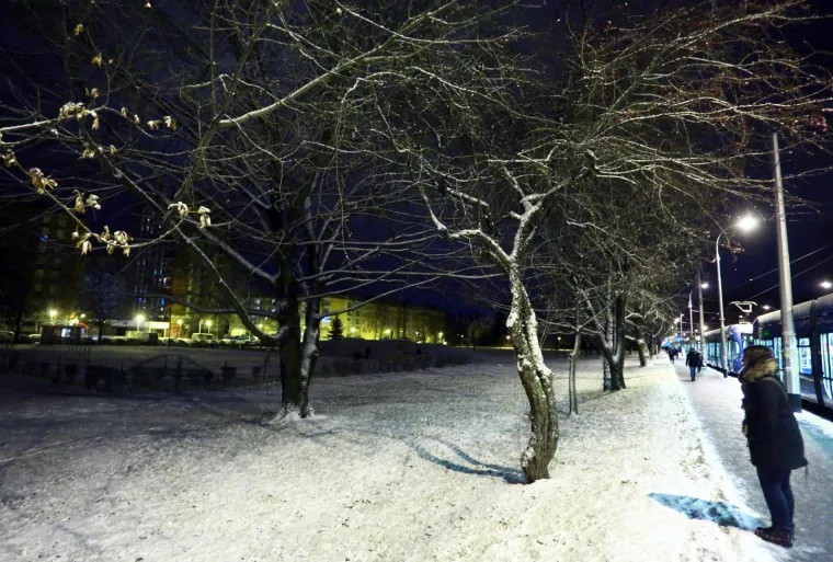 Snijeg pada u Zagrebu, Slavoniji i Lici: Orkanska bura na jugu nosila krovove i zatvorila ceste