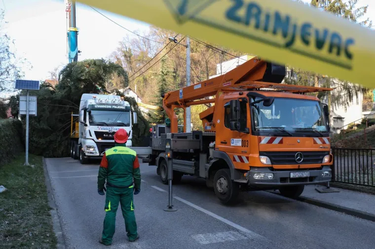 Vlasnik 20 metarskog bora koji se nalazio u ulici Graberje donirao je bor gradu Zagrebu koji ce ga postaviti na Trgu bana Josipa Jelacica. Bor su radnici Zrinjevca sigurno i uspjesno posjekli, a zastoj prometa trajao je cetiri sata. No, Grad Zagreb, odnosno podruznica Zrinjevac koja je posjekla jelu, nasla se unutar spora oko nasljedja. Zena koja je u posjedu 5/8 vlasnistva zemljista darovala je jelu, bez znanja muskarca i  zene, brata i sestre, koji su prije vise od 50 godina u vrtu obiteljske kuce posadili drvce, a koji su s gospodjom koja je donirala jelu od 2004. u sudskom sporu u vezi s vlasnistvom. U zemljisnim knjigama dokaz je da sporna parcela ima tri razlicita vlasnika koji ce ovaj slucaj morati dalje rjesavati pravnim putem.  Photo: Jurica Galoic/PIXSELL