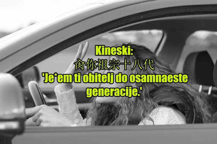 'Pas mater': TOP 20 najinovativnijih psovki koje koriste kočija&scaron;i diljem svijeta