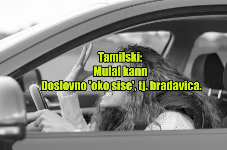 'Pas mater': TOP 20 najinovativnijih psovki koje koriste kočija&scaron;i diljem svijeta