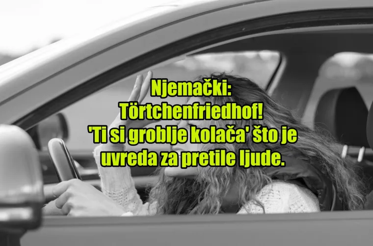 'Pas mater': TOP 20 najinovativnijih psovki koje koriste kočija&scaron;i diljem svijeta