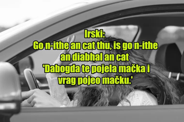 'Pas mater': TOP 20 najinovativnijih psovki koje koriste kočija&scaron;i diljem svijeta