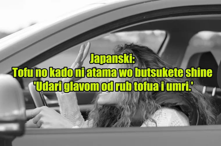 'Pas mater': TOP 20 najinovativnijih psovki koje koriste kočija&scaron;i diljem svijeta