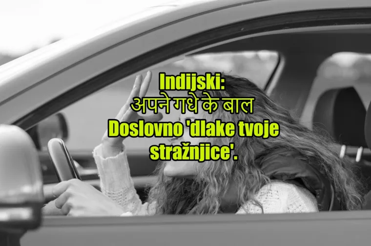 'Pas mater': TOP 20 najinovativnijih psovki koje koriste kočija&scaron;i diljem svijeta