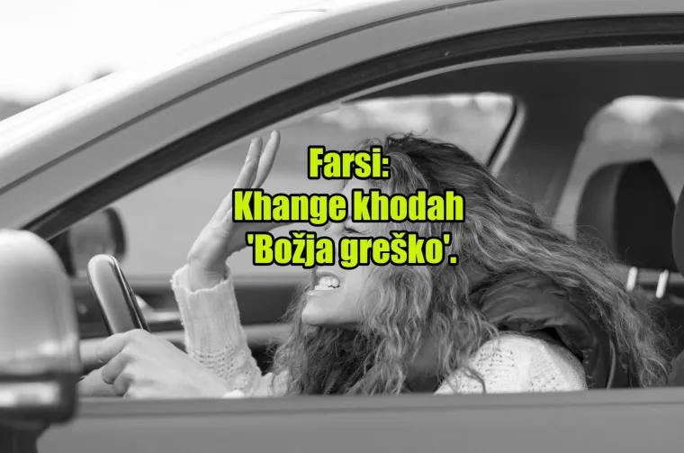 'Pas mater': TOP 20 najinovativnijih psovki koje koriste kočija&scaron;i diljem svijeta