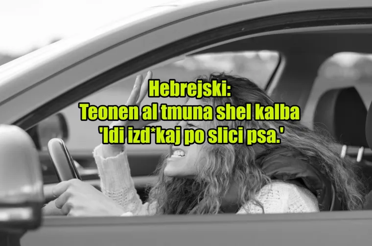 'Pas mater': TOP 20 najinovativnijih psovki koje koriste kočija&scaron;i diljem svijeta