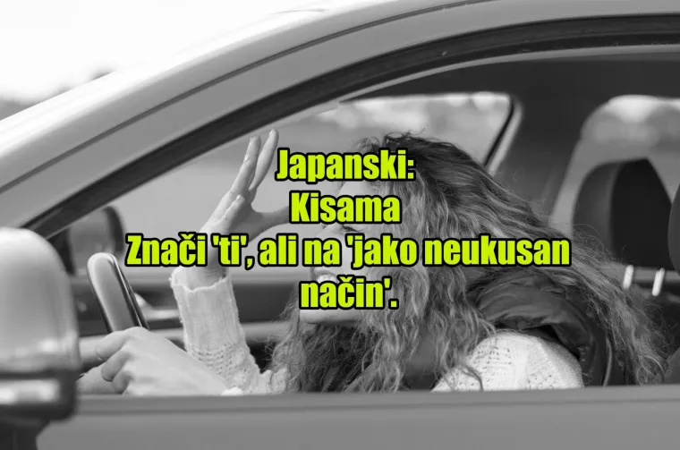 'Pas mater': TOP 20 najinovativnijih psovki koje koriste kočija&scaron;i diljem svijeta