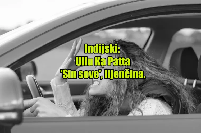 'Pas mater': TOP 20 najinovativnijih psovki koje koriste kočija&scaron;i diljem svijeta