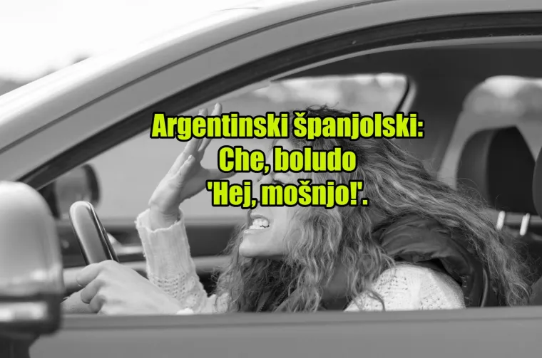 'Pas mater': TOP 20 najinovativnijih psovki koje koriste kočija&scaron;i diljem svijeta