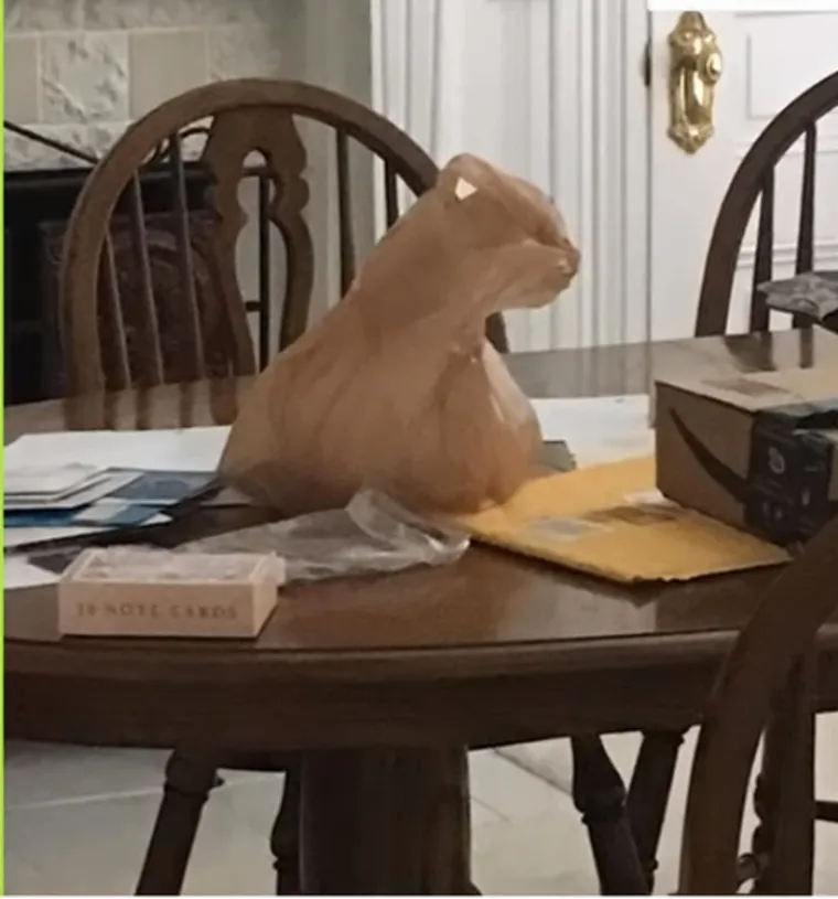 Netko je pobrkao lončiće? Pogledajte 'uobičajene' situacije koje koje će vas zbuniti i nasmijati u isto vrijeme