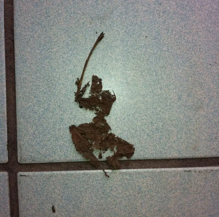 Netko je pobrkao lončiće? Pogledajte 'uobičajene' situacije koje koje će vas zbuniti i nasmijati u isto vrijeme