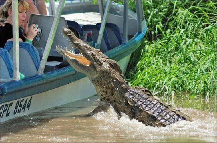 'SRA*A SE DOGAĐAJU', A ONI SU IH USPJELI SNIMITI: Nevolja čeka iza svakog ugla, no oni su imali spreman fotić