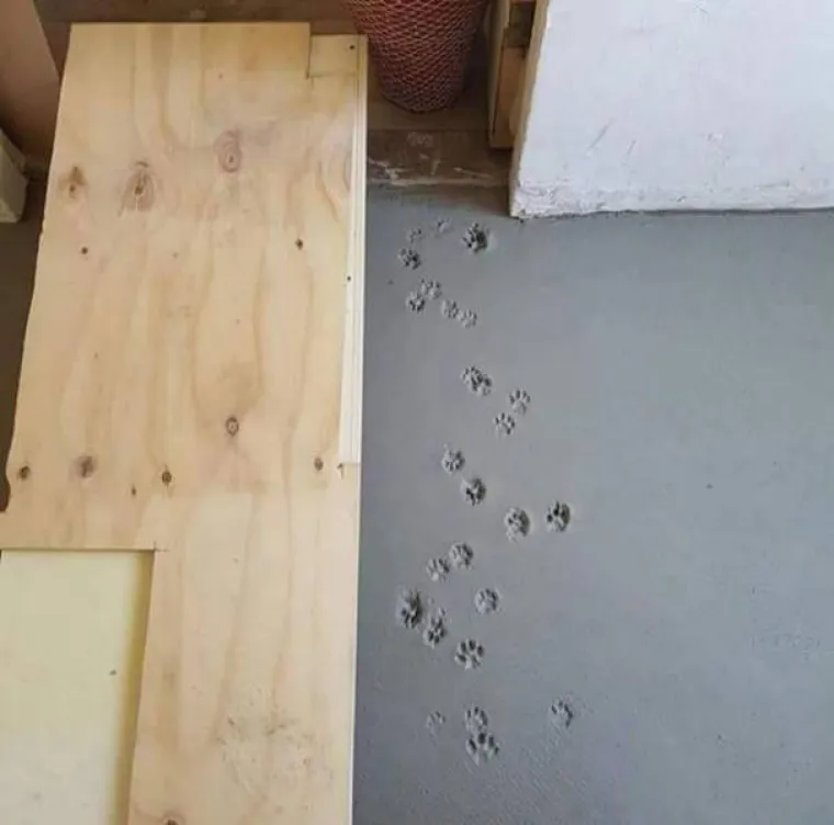 'SRA*A SE DOGAĐAJU', A ONI SU IH USPJELI SNIMITI: Nevolja čeka iza svakog ugla, no oni su imali spreman fotić