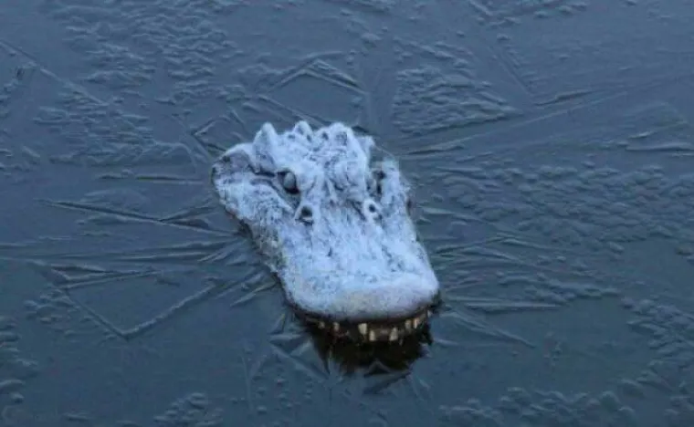 'SRA*A SE DOGAĐAJU', A ONI SU IH USPJELI SNIMITI: Nevolja čeka iza svakog ugla, no oni su imali spreman fotić