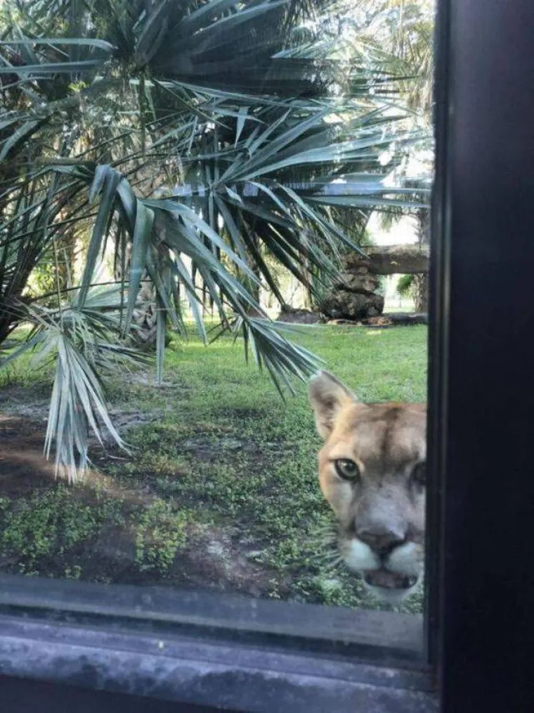 'SRA*A SE DOGAĐAJU', A ONI SU IH USPJELI SNIMITI: Nevolja čeka iza svakog ugla, no oni su imali spreman fotić