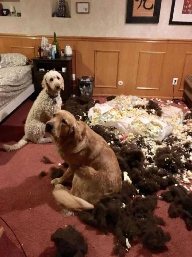 'SRA*A SE DOGAĐAJU', A ONI SU IH USPJELI SNIMITI: Nevolja čeka iza svakog ugla, no oni su imali spreman fotić