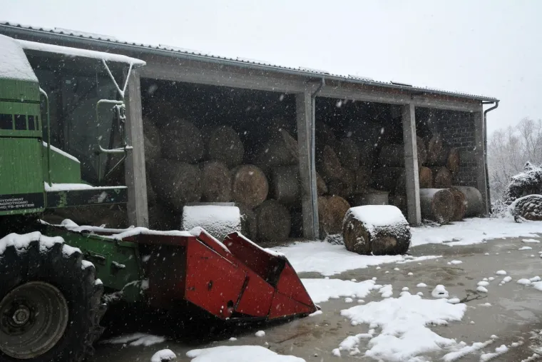 Ivica Galovic/PIXSELL