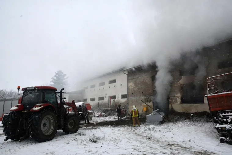 Ivica Galovic/PIXSELL