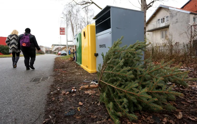 Odbačeni borovi nakon blagdana Sveta tri kralja u naselju Jarun