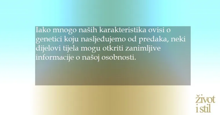 Zapisano je u prstima: saznajte što njihova duljina govori o vašoj osobnosti