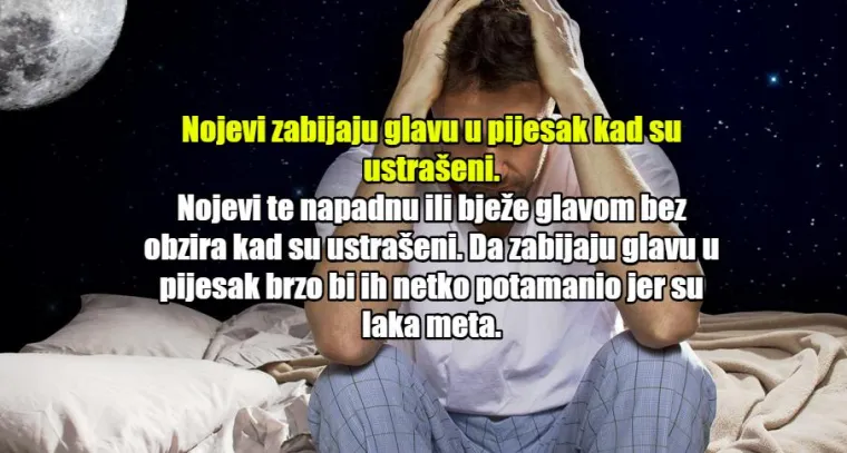 JO&Scaron; 20 urbanih mitova upitnog podrijetla: Da ljudi koriste samo 10 posto mozga, bili bi biljke!