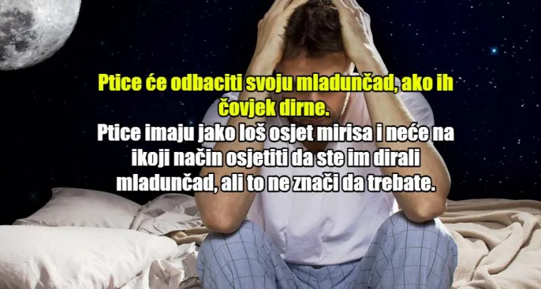 JO&Scaron; 20 urbanih mitova upitnog podrijetla: Da ljudi koriste samo 10 posto mozga, bili bi biljke!