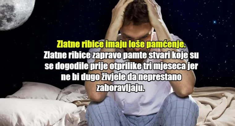 JO&Scaron; 20 urbanih mitova upitnog podrijetla: Da ljudi koriste samo 10 posto mozga, bili bi biljke!