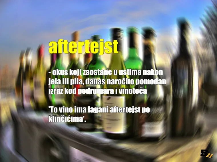 Vokabular jednog pijanca: Dok ne počne fufljati, ovih se 20 izraza drži k'o plota