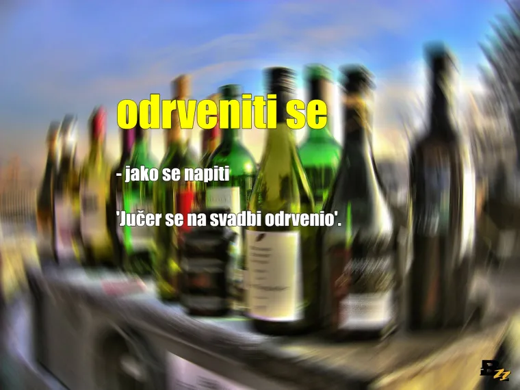 Vokabular jednog pijanca: Dok ne počne fufljati, ovih se 20 izraza drži k'o plota