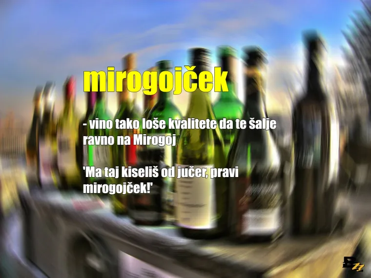 Vokabular jednog pijanca: Dok ne počne fufljati, ovih se 20 izraza drži k'o plota