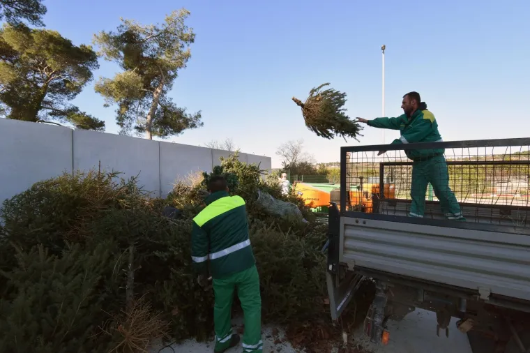 Građanima Pule omogućena besplatna reciklaža božićnih drvaca