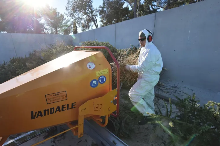 Građanima Pule omogućena besplatna reciklaža božićnih drvaca