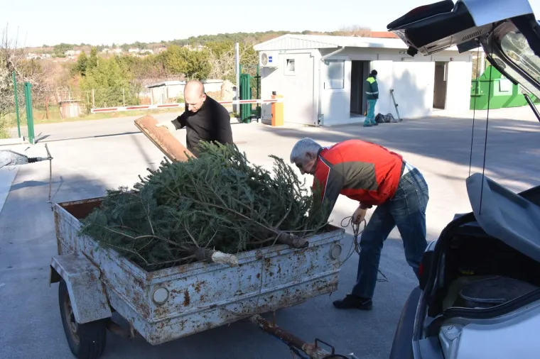 Građanima Pule omogućena besplatna reciklaža božićnih drvaca