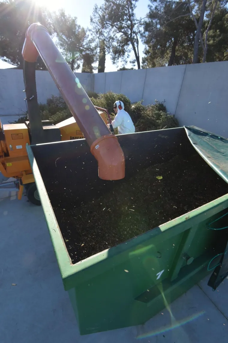 Građanima Pule omogućena besplatna reciklaža božićnih drvaca